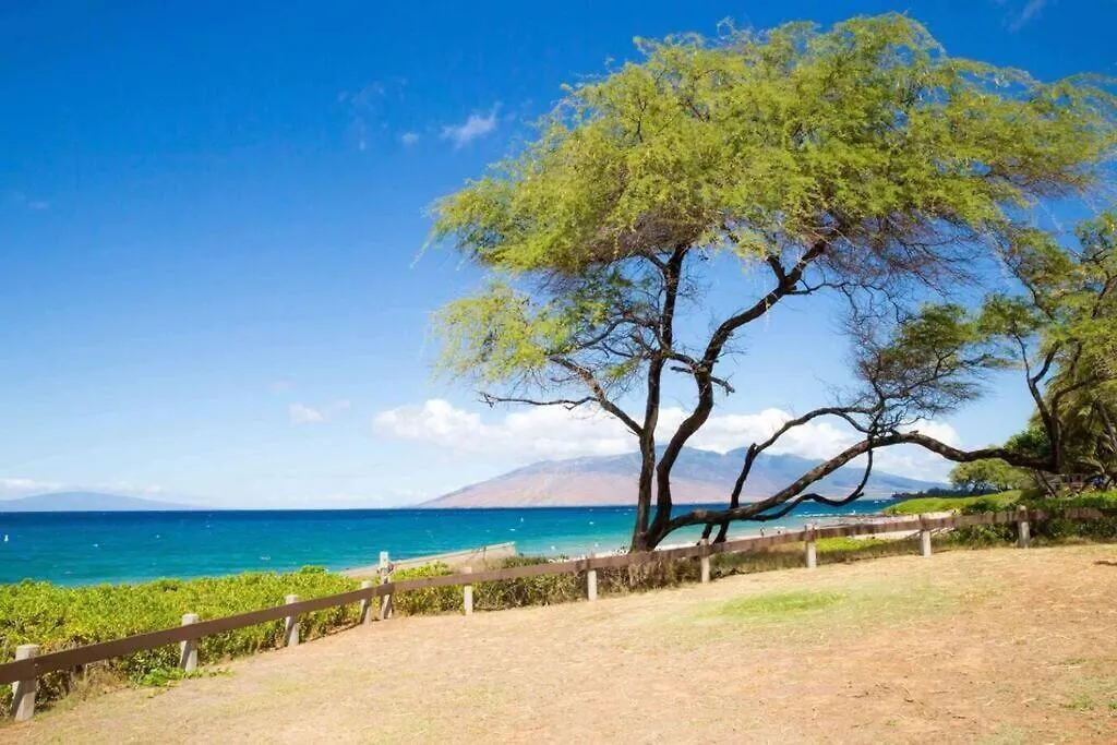 Hale Kamaole 7-169- Ground Floor, Ocean View, Updated Kihei Gem Wailea  Apartment
